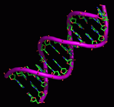 Adn2 Layer 1